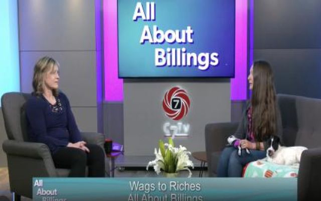 All About Billings